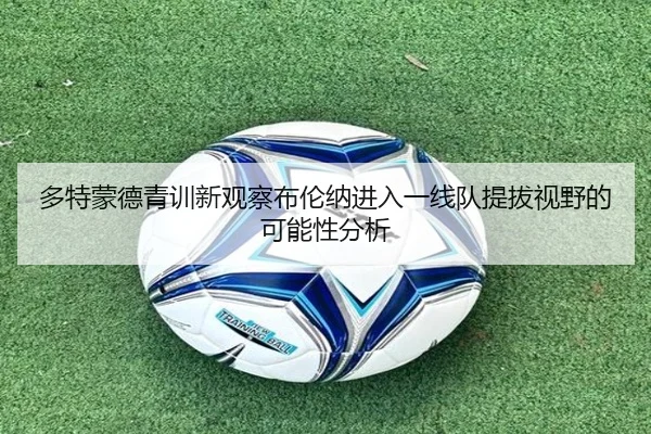 多特蒙德青训新观察布伦纳进入一线队提拔视野的可能性分析