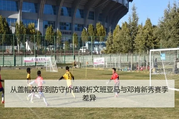 从盖帽效率到防守价值解析文班亚马与邓肯新秀赛季差异